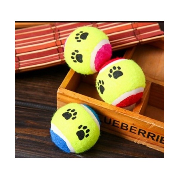 At Getir Köpek Eğitim Topu