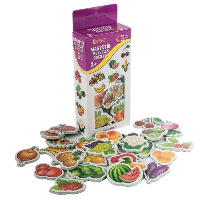 1307 DıyToy, Manyetik...