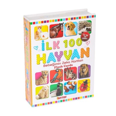 1741 FLASH CARD ILK 100...