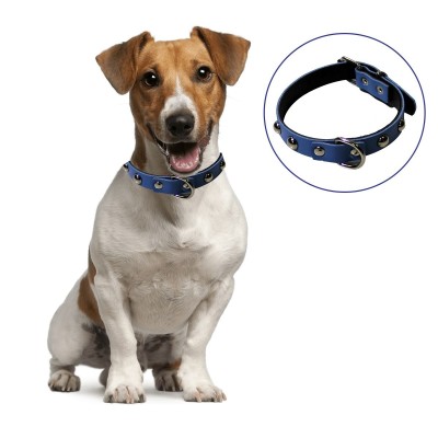 Yumuşak Dokulu Deri Köpek...